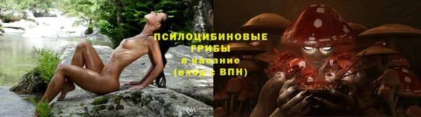 ECSTASY Бородино