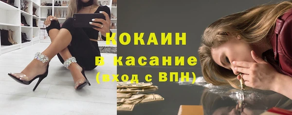 ECSTASY Бородино
