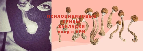 ешки Богородск