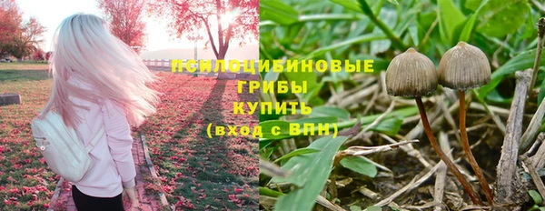герыч Богородицк