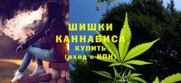 PSILOCYBIN Бронницы