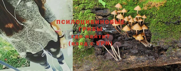 тгк Белокуриха