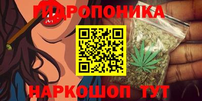 прущие крисы Волжск