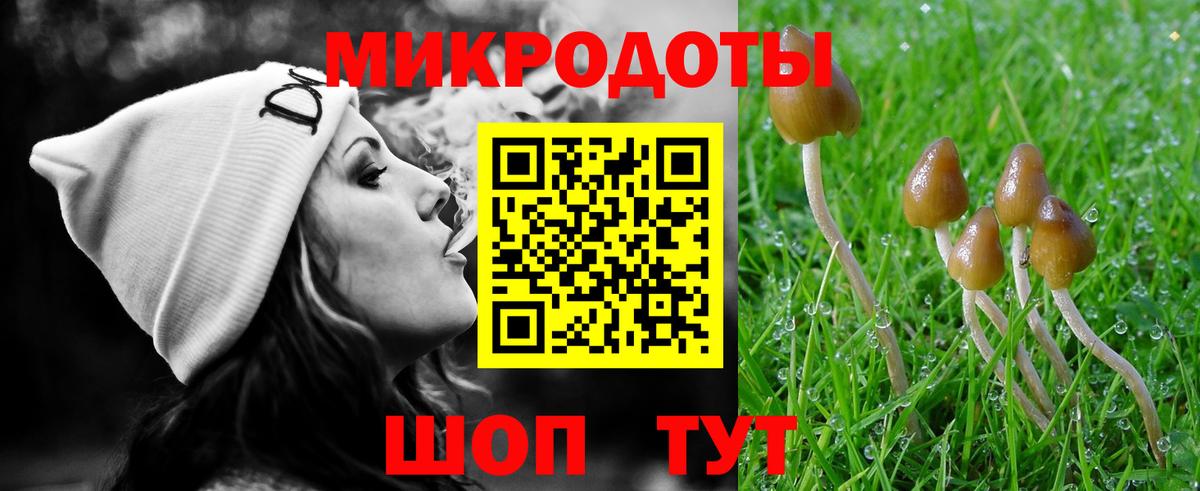 Губкинский  Галлюциногенные грибы ЛСД  Псилоцибиновые грибы MAGIC MUSHROOMS  Вход с VPN 